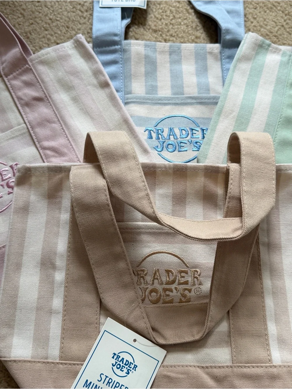 Trader Joe's Striped Mini Canvas Tote Bag - Pastel Stripe